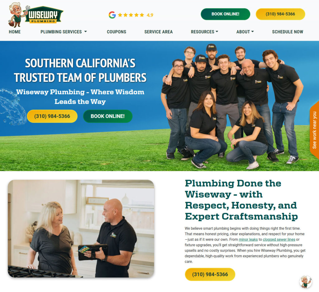 wiseway plumbing website launch